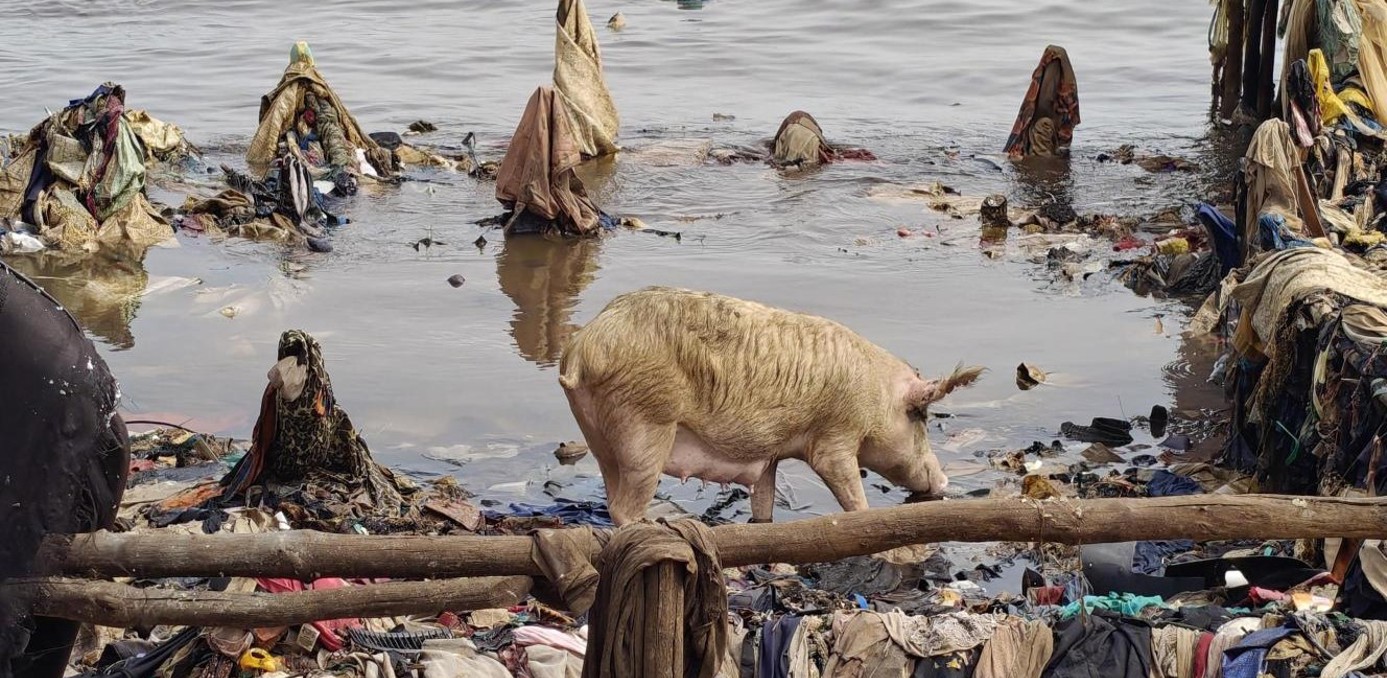 Sierra Leone Billedgalleri (6) (1)
